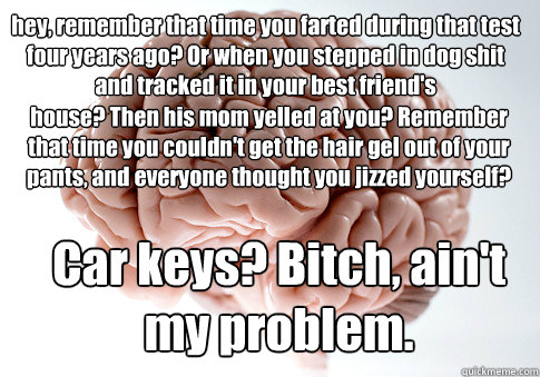 hey, remember that time you farted during that test four years ago? Or when you stepped in dog shit and tracked it in your best friend's  house? Then his mom yelled at you? Remember that time you couldn't get the hair gel out of your pants, and everyone t  Scumbag Brain