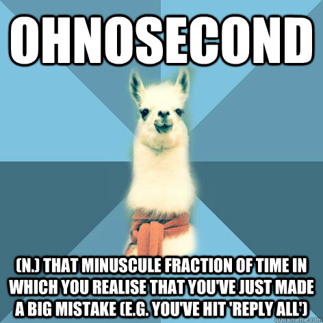 OHNOSECOND (n.) That minuscule fraction of time in which you realise that you've just made a big mistake (e.g. you've hit 'Reply All') - OHNOSECOND (n.) That minuscule fraction of time in which you realise that you've just made a big mistake (e.g. you've hit 'Reply All')  Linguist Llama