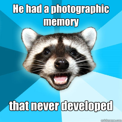 He had a photographic memory that never developed  Lame Pun Coon