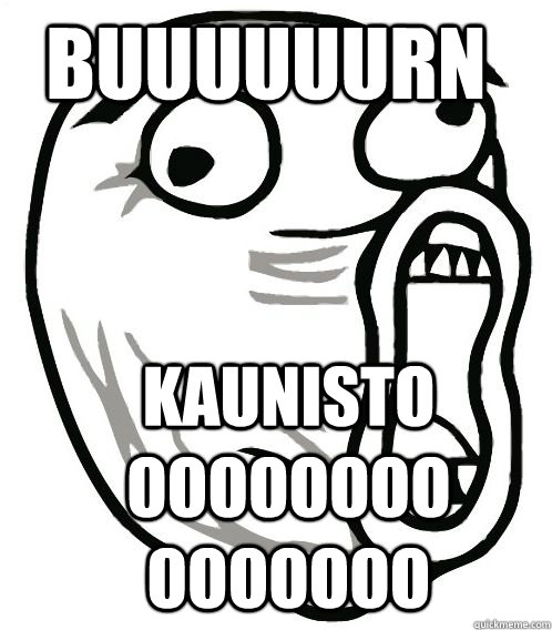 BUUUUUURN KAUNISTOOOOOOOOOOOOOOOO  LOL Guy