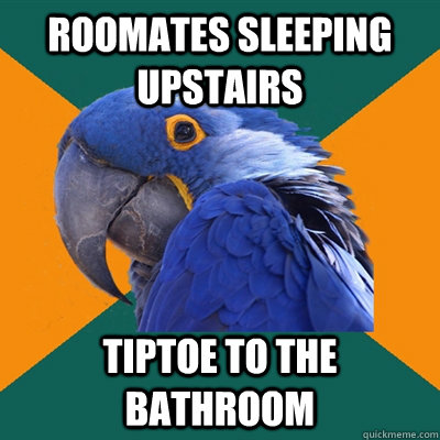 Roomates sleeping upstairs Tiptoe to the bathroom  Paranoid Parrot