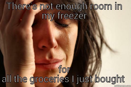 THERE'S NOT ENOUGH ROOM IN MY FREEZER FOR ALL THE GROCERIES I JUST BOUGHT  First World Problems