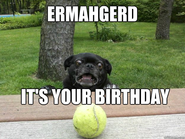 Ermahgerd it's your birthday  Berks Dog
