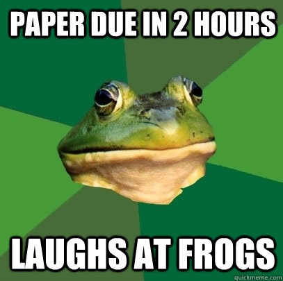 paper due in 2 hours laughs at frogs  Foul Bachelor Frog