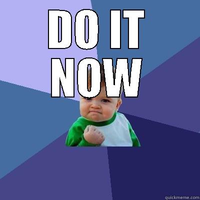 DO IT NOW  Success Kid