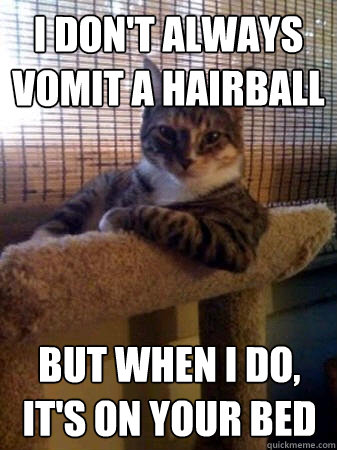I don't always vomit a hairball but when I do, it's on your bed  The Most Interesting Cat in the World