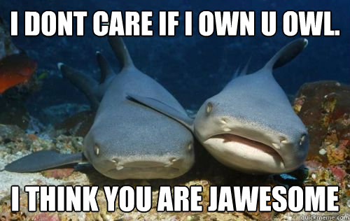 I dont care If I own u owl. i think you are jawesome  Compassionate Shark Friend