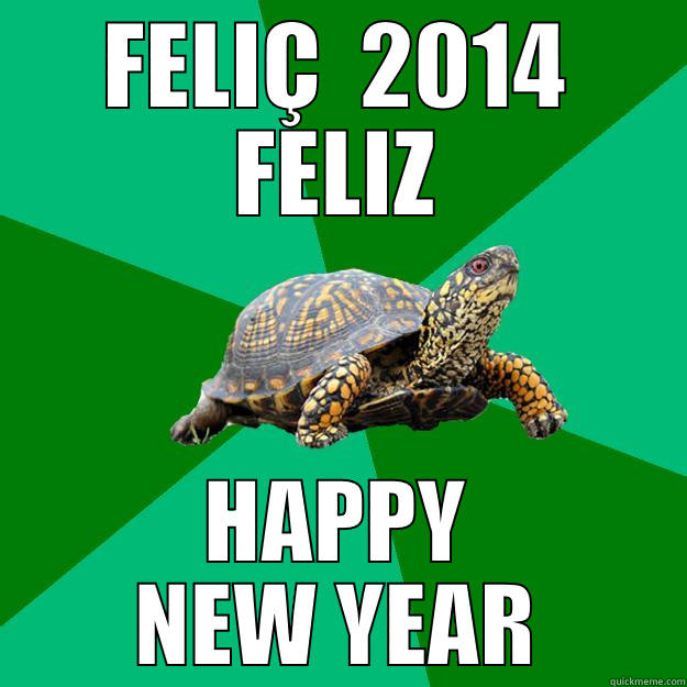 FELIÇ  2014 FELIZ HAPPY NEW YEAR Torrenting Turtle