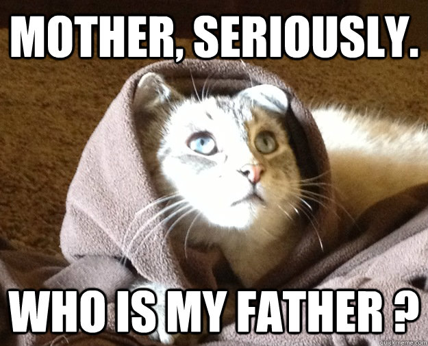 mother, seriously. who is my father ?  