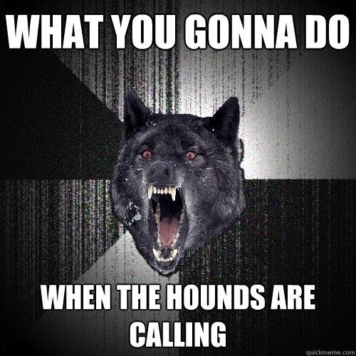 What you gonna do when the hounds are calling  Insanity Wolf