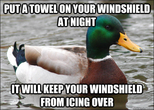 Put a towel on your windshield at night It will keep your windshield from icing over  Actual Advice Mallard