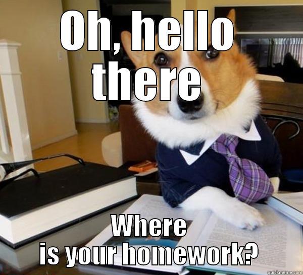 OH, HELLO THERE WHERE IS YOUR HOMEWORK? Lawyer Dog