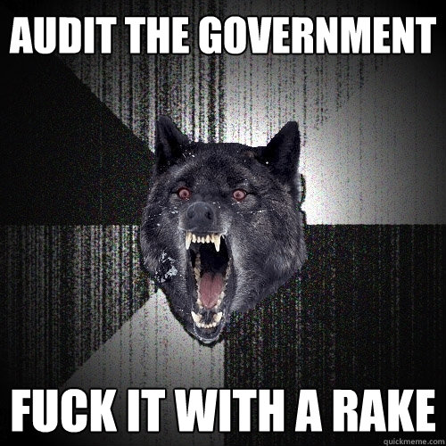 audit the government fuck it with a rake  Insanity Wolf