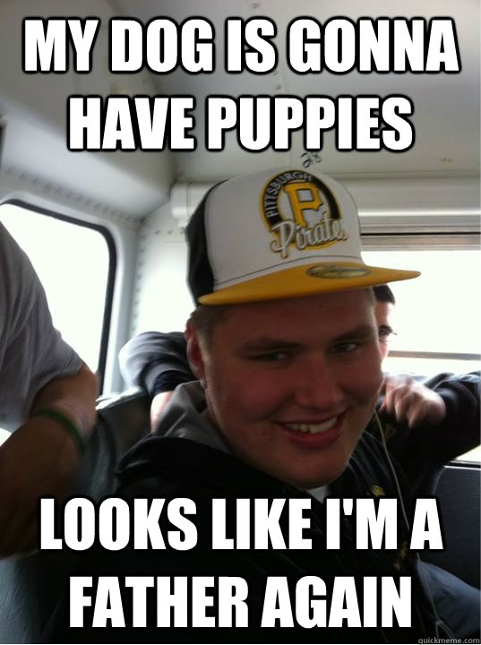 My dog is gonna have puppies Looks like I'm a father again  