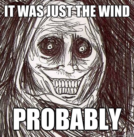 IT WAS JUST THE WIND PROBABLY  
