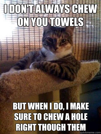 I don't always chew on you towels but when I do, I make sure to chew a hole right though them  The Most Interesting Cat in the World