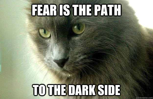 Fear is the path to the dark side  