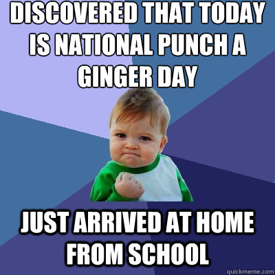 Discovered that today is National Punch a Ginger Day Just arrived at home from school  Success Kid