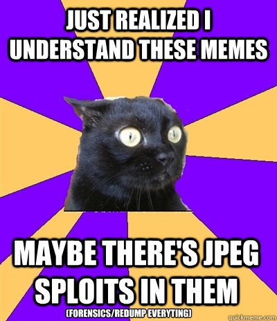 just realized i understand these memes maybe there's jpeg sploits in them (forensics/redump everyting)  Anxiety Cat