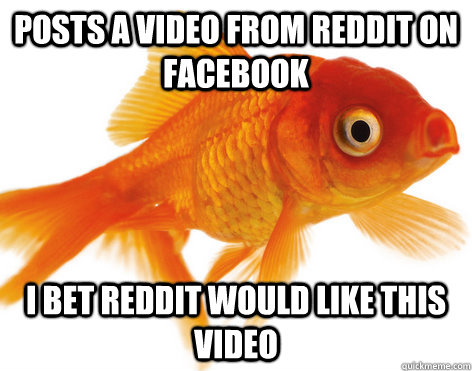 Posts a video from Reddit on Facebook I bet Reddit would like this video - Posts a video from Reddit on Facebook I bet Reddit would like this video  Forgetful Fish