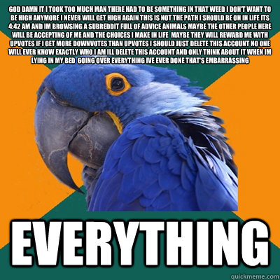 God damn it I took too much man There had to be something in that weed i don't want to be high anymore i never will get high again This is not the path i should be on in life its 4:42 am and im browsing a subreddit full of advice animals maybe the other p  Paranoid Parrot