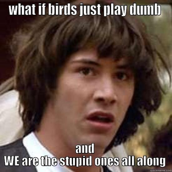 WHAT IF BIRDS JUST PLAY DUMB AND WE ARE THE STUPID ONES ALL ALONG conspiracy keanu
