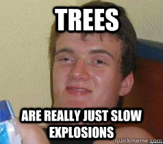 TREES are really just slow explosions - TREES are really just slow explosions  Misc