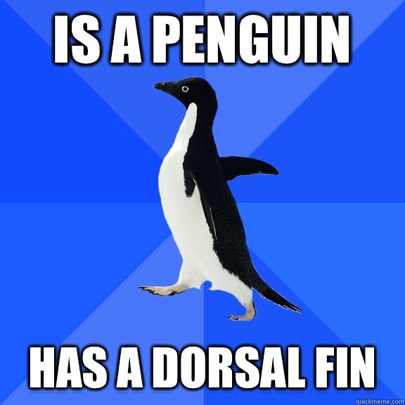 Is a penguin Has a dorsal fin  Socially Awkward Penguin