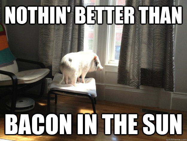 Nothin' better than Bacon In the sun - Nothin' better than Bacon In the sun  Regret Pig