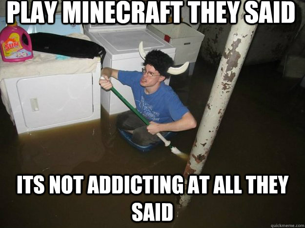 play minecraft they said its not addicting at all they said  Laundry Room Viking
