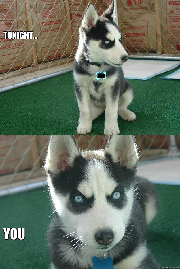 Tonight... You  Insanity puppy