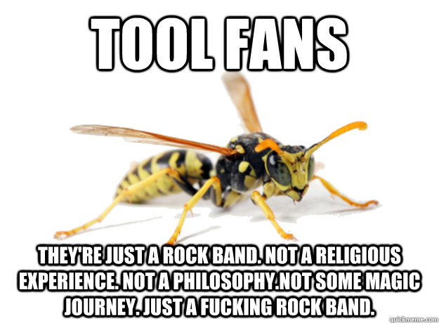 Tool Fans They're just a rock band. Not a religious experience. Not a philosophy.Not some magic journey. Just a fucking rock band. - Tool Fans They're just a rock band. Not a religious experience. Not a philosophy.Not some magic journey. Just a fucking rock band.  Misc