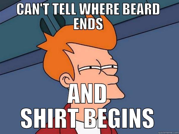 CAN'T TELL WHERE BEARD ENDS AND SHIRT BEGINS Futurama Fry