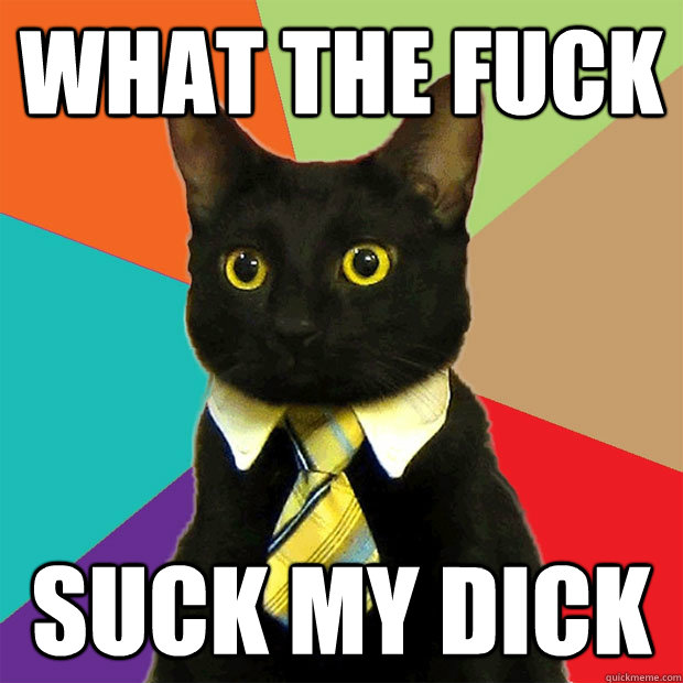 What the fuck suck my dick  Business Cat