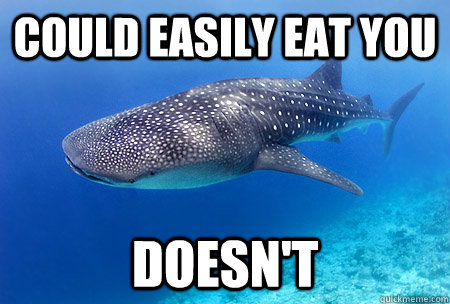 Could easily eat you Doesn't - Could easily eat you Doesn't  Good Guy Whale Shark
