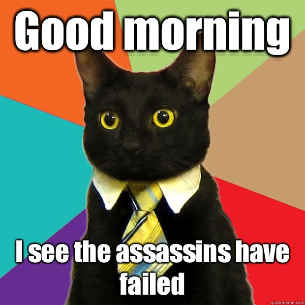 Good morning I see the assassins have failed - Good morning I see the assassins have failed  Business Cat