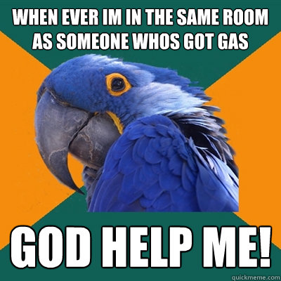 when ever im in the same room as someone whos got gas  GOD HELP ME!  Paranoid Parrot