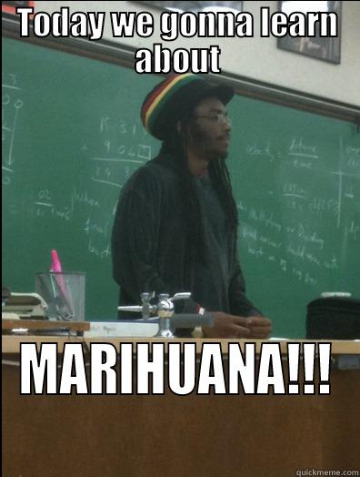 TODAY WE GONNA LEARN ABOUT MARIHUANA!!! Rasta Science Teacher