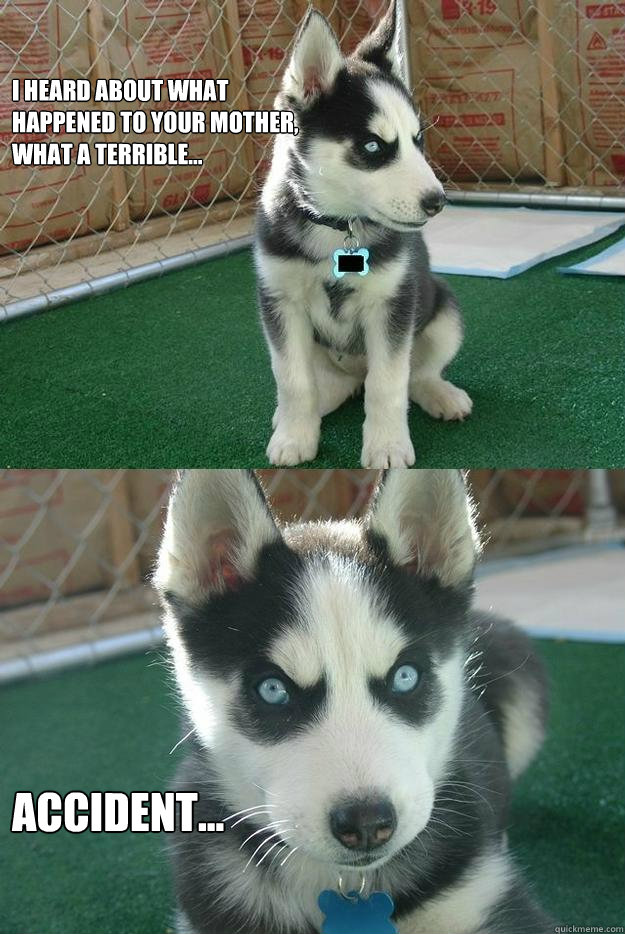 I heard about what 
happened to your mother,
what a terrible... Accident...  Insanity puppy