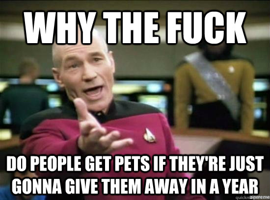 Why the fuck do people get pets if they're just gonna give them away in a year  Annoyed Picard HD