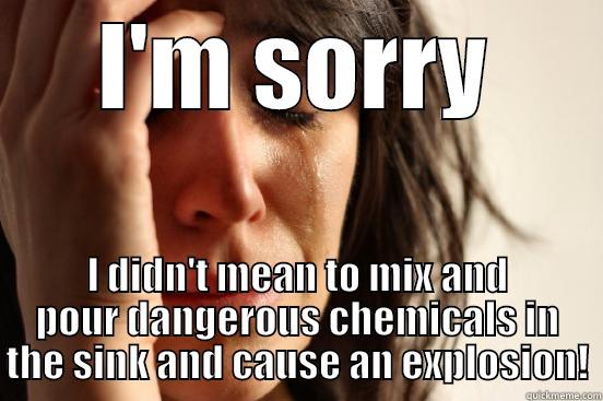 I'M SORRY I DIDN'T MEAN TO MIX AND POUR DANGEROUS CHEMICALS IN THE SINK AND CAUSE AN EXPLOSION! First World Problems