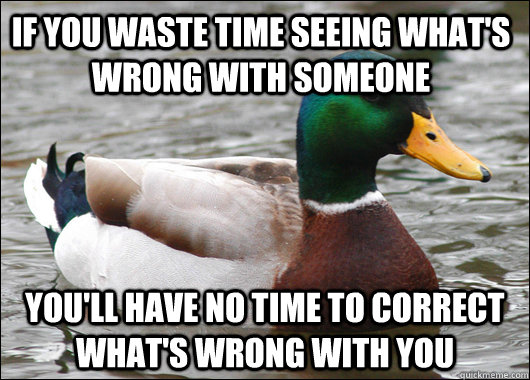 If you waste time seeing what's wrong with someone You'll have no time to correct what's wrong with you  Actual Advice Mallard