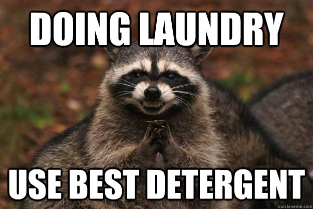 doing laundry use best detergent   Evil Plotting Raccoon