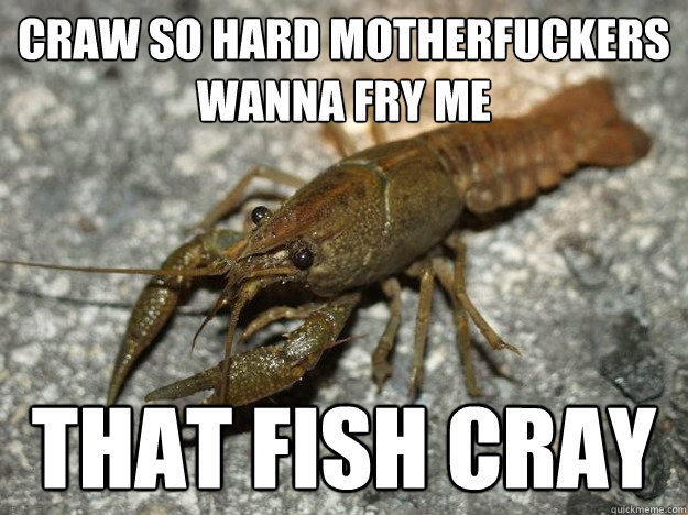 CRaw so hard motherfuckers wanna fry me THAT fish cray  