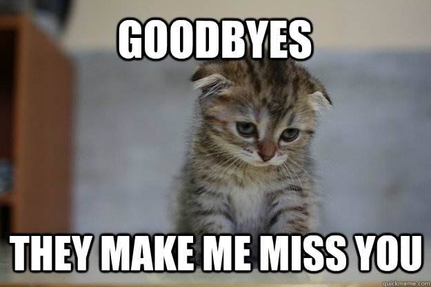 goodbyes they make me miss you  Sad Kitten