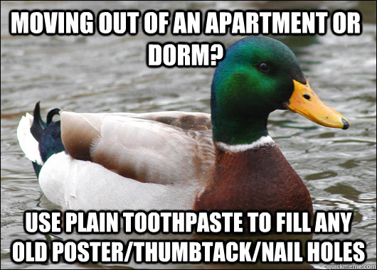 Moving out of an apartment or dorm? Use plain toothpaste to fill any old poster/thumbtack/nail holes  Actual Advice Mallard