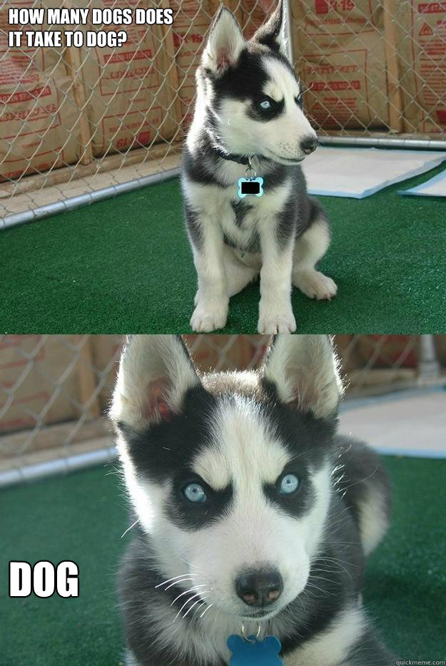 how many dogs does 
it take to dog? dog  Insanity puppy