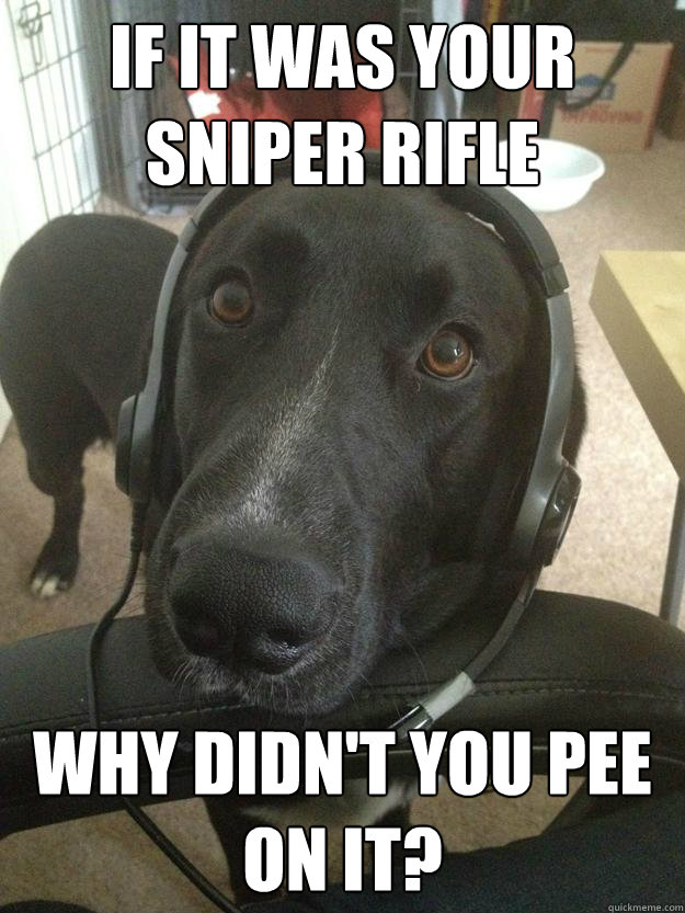 If it was your sniper rifle Why didn't you pee on it? - If it was your sniper rifle Why didn't you pee on it?  Misc