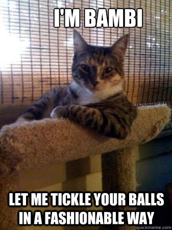 I'm bambi Let me tickle your balls in a fashionable way  The Most Interesting Cat in the World