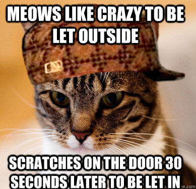 meows like crazy to be let outside  scratches on the door 30 seconds later to be let in  Scumbag Cat